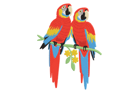 Scarlet Macaws: A Designer’s Review for Personalized Gifts